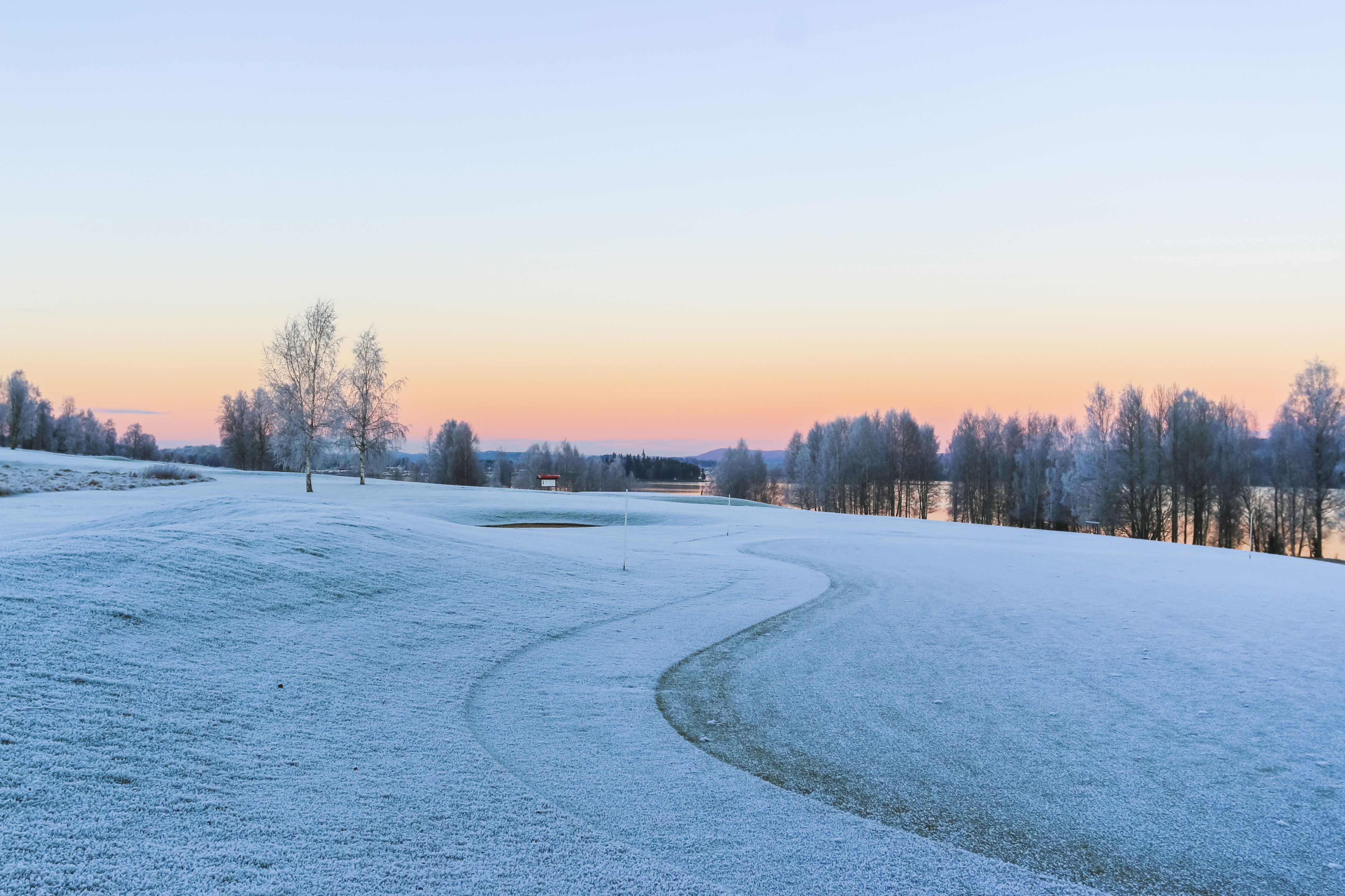 Winter Survival Guide: How to Keep Your Game from Hibernating this Offseason